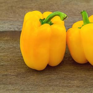 Capsicum annuum 'Golden California Wonder'